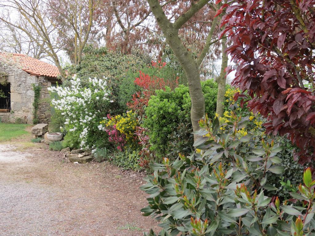 Saint-Aubin-la-Plaine L'Aubinoise Bed & Breakfast エクステリア 写真